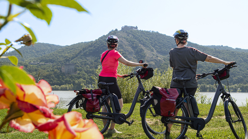 Reise�ret 2026 - der hjertet bestemmer ruten