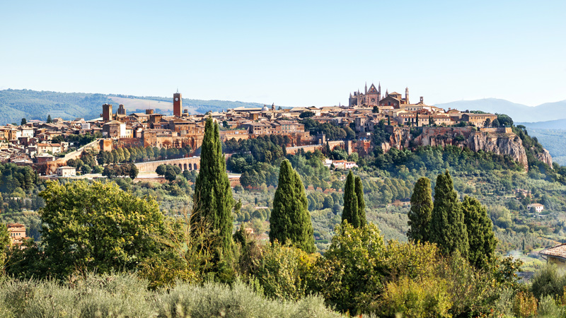 Roma & Bolsenasj�en