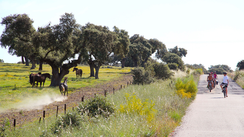 Det uber�rte Spania - fra Parador til Parador p� egen h�nd