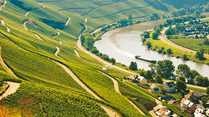 Sykkelweekend Moseldalen p� egen h�nd - NYHET!